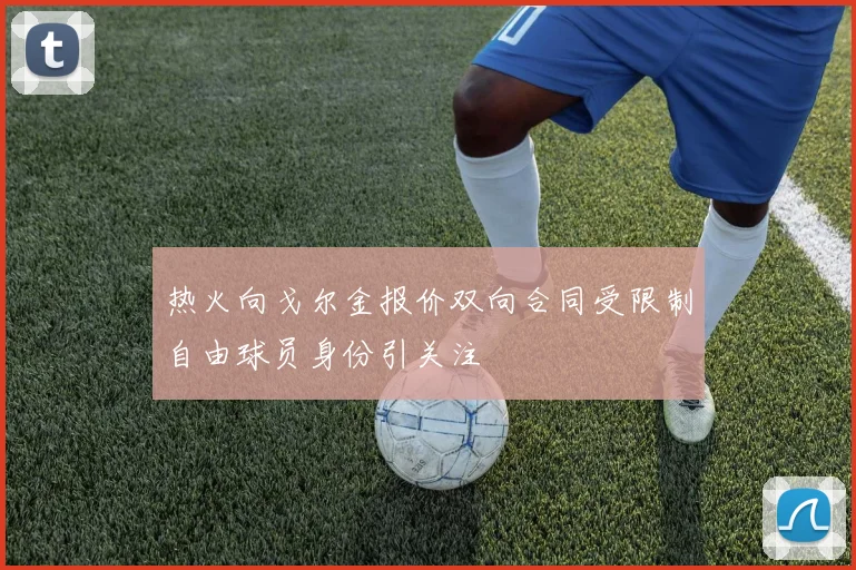 热火向戈尔金报价双向合同受限制自由球员身份引关注
